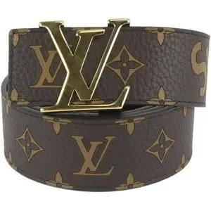 Louis Vuitton | Accessories | Gorgeous Brown Lv Initiales  display picture 1